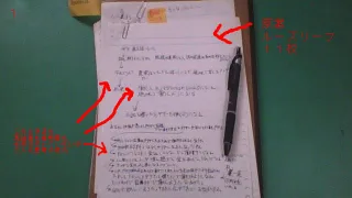 真論君家の猫創作ノート1
