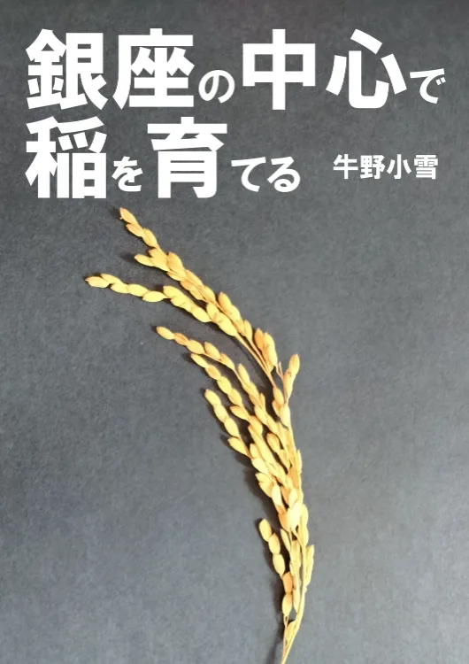 銀座の中心で稲を育てる