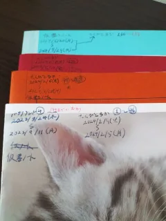 たくぴとるかの創作ノート17